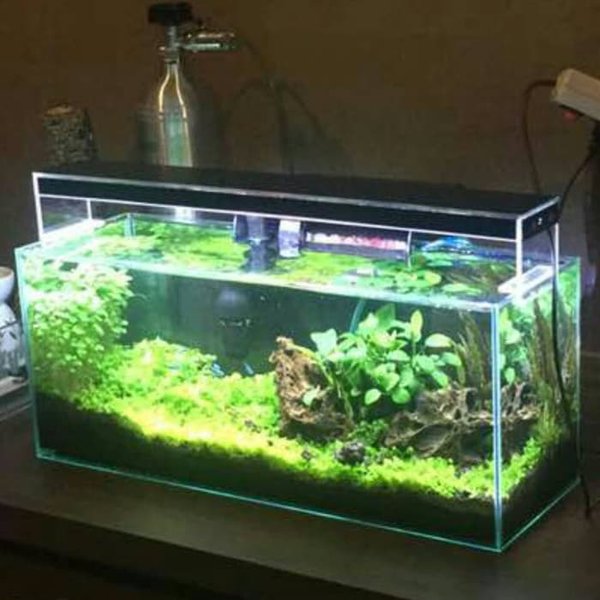 Detail Lampu Aquascape Nomer 14