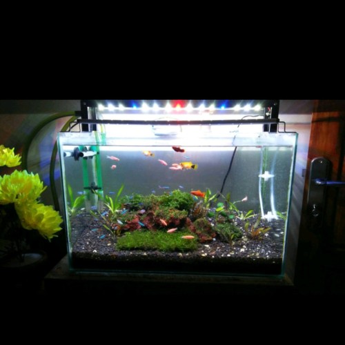 Detail Lampu Aquascape Nomer 21