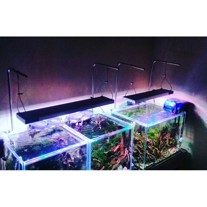 Detail Lampu Aquascape Nomer 30