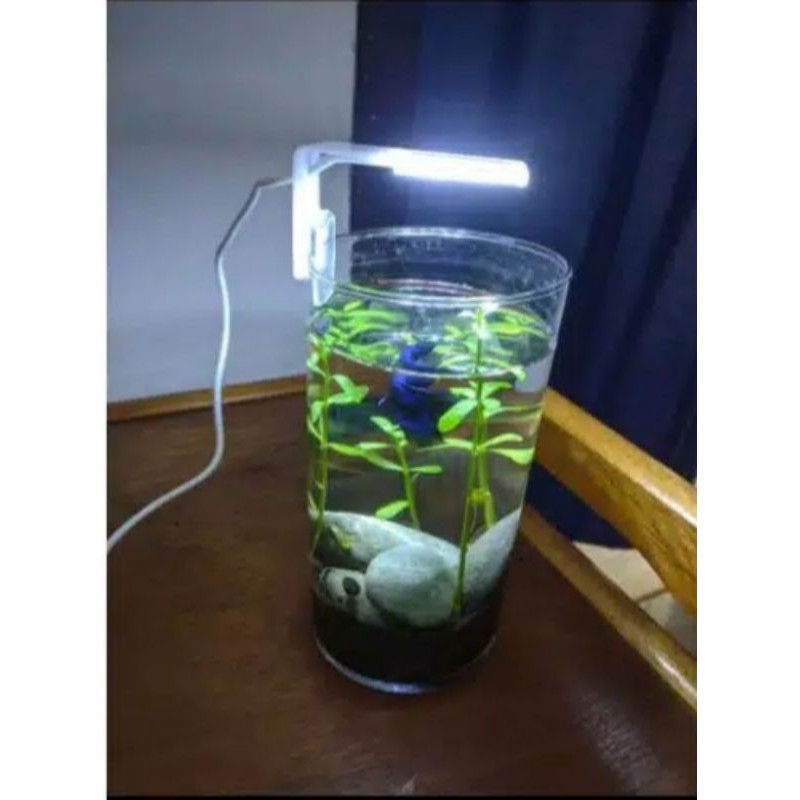 Detail Lampu Aquascape Nomer 32