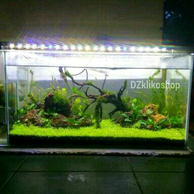 Detail Lampu Aquascape Nomer 44