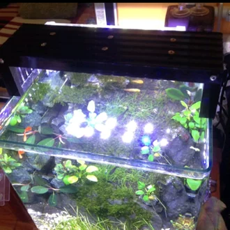 Detail Lampu Aquascape Nomer 52