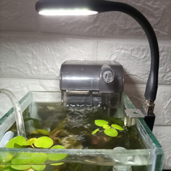 Detail Lampu Aquascape Kecil Nomer 19