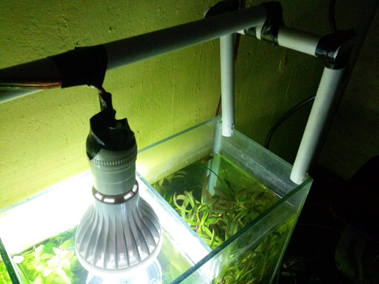 Detail Lampu Aquascape Kecil Nomer 20