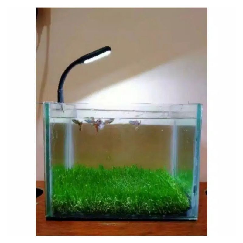 Detail Lampu Aquascape Kecil Nomer 5