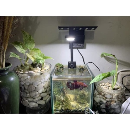 Detail Lampu Aquascape Kecil Nomer 7