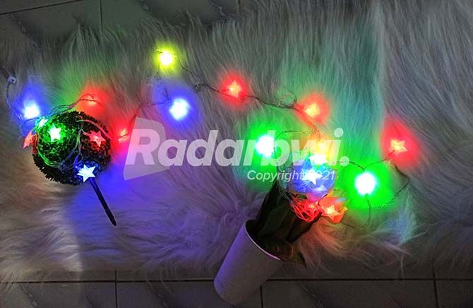 Detail Lampu Hias Agustusan Depan Rumah Nomer 12