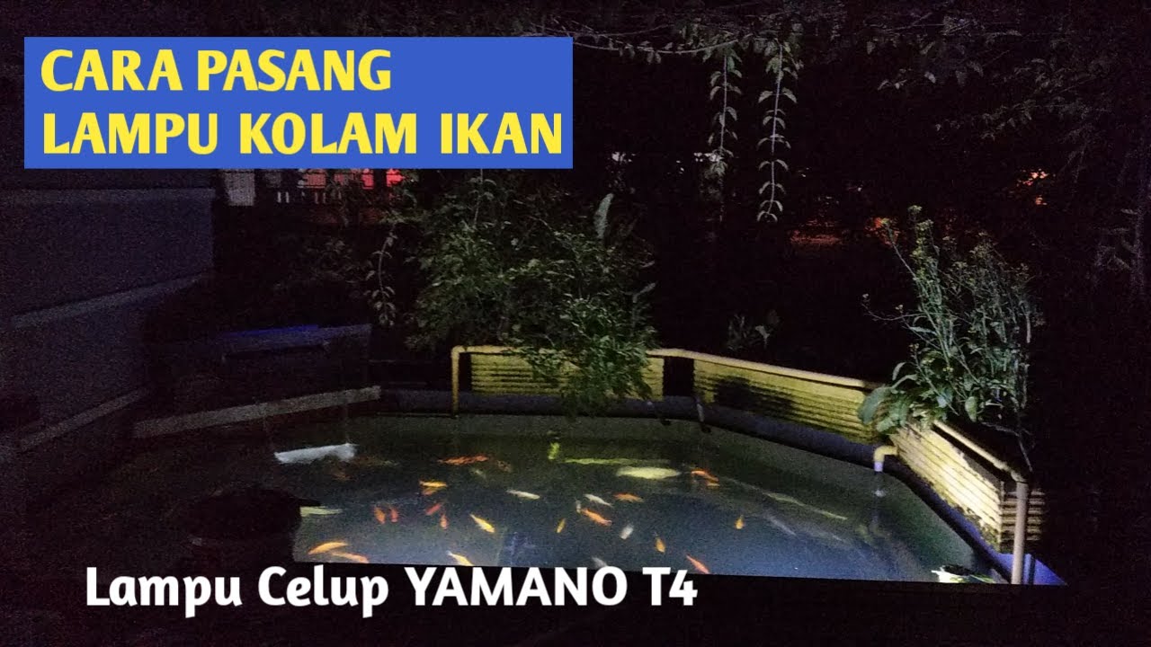 Detail Lampu Kolam Ikan Koi Nomer 4