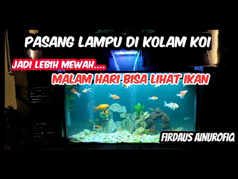 Detail Lampu Kolam Ikan Koi Nomer 44