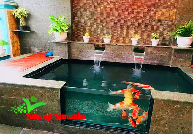 Detail Lampu Kolam Ikan Minimalis Nomer 42