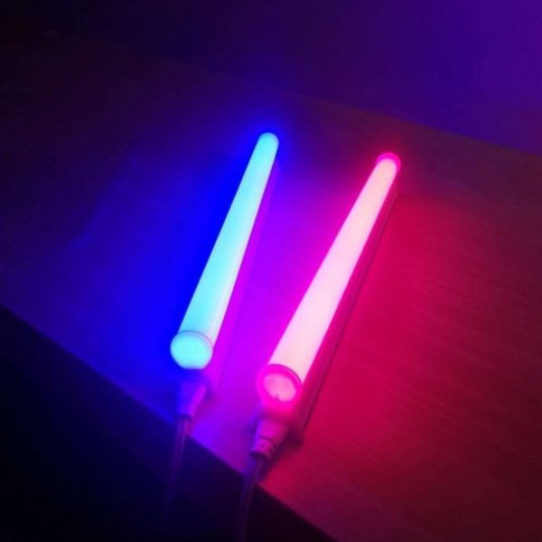 Detail Lampu Neon Warna Biru Nomer 3