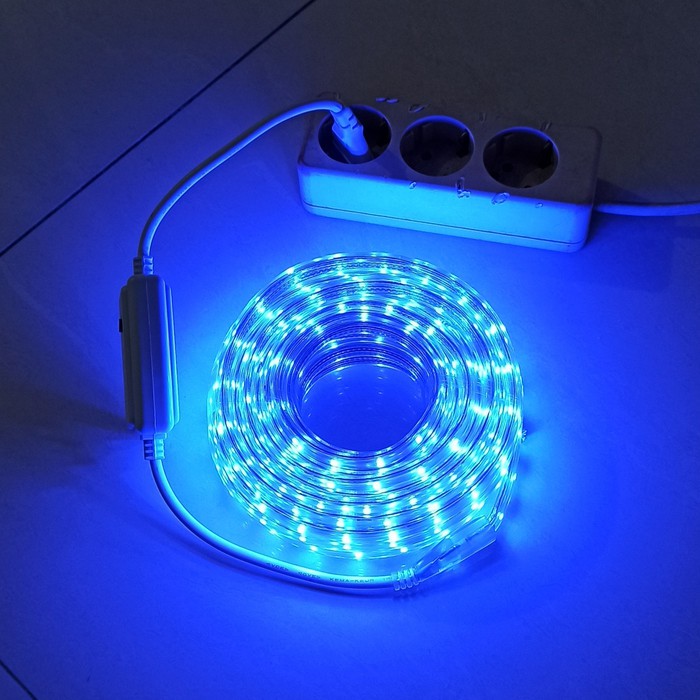 Detail Lampu Neon Warna Biru Nomer 37