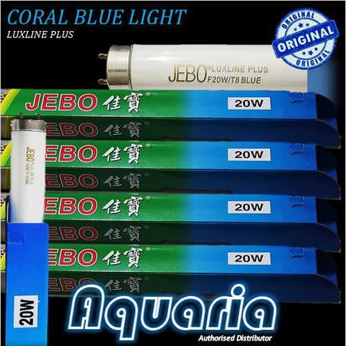 Detail Lampu Neon Warna Biru Nomer 39