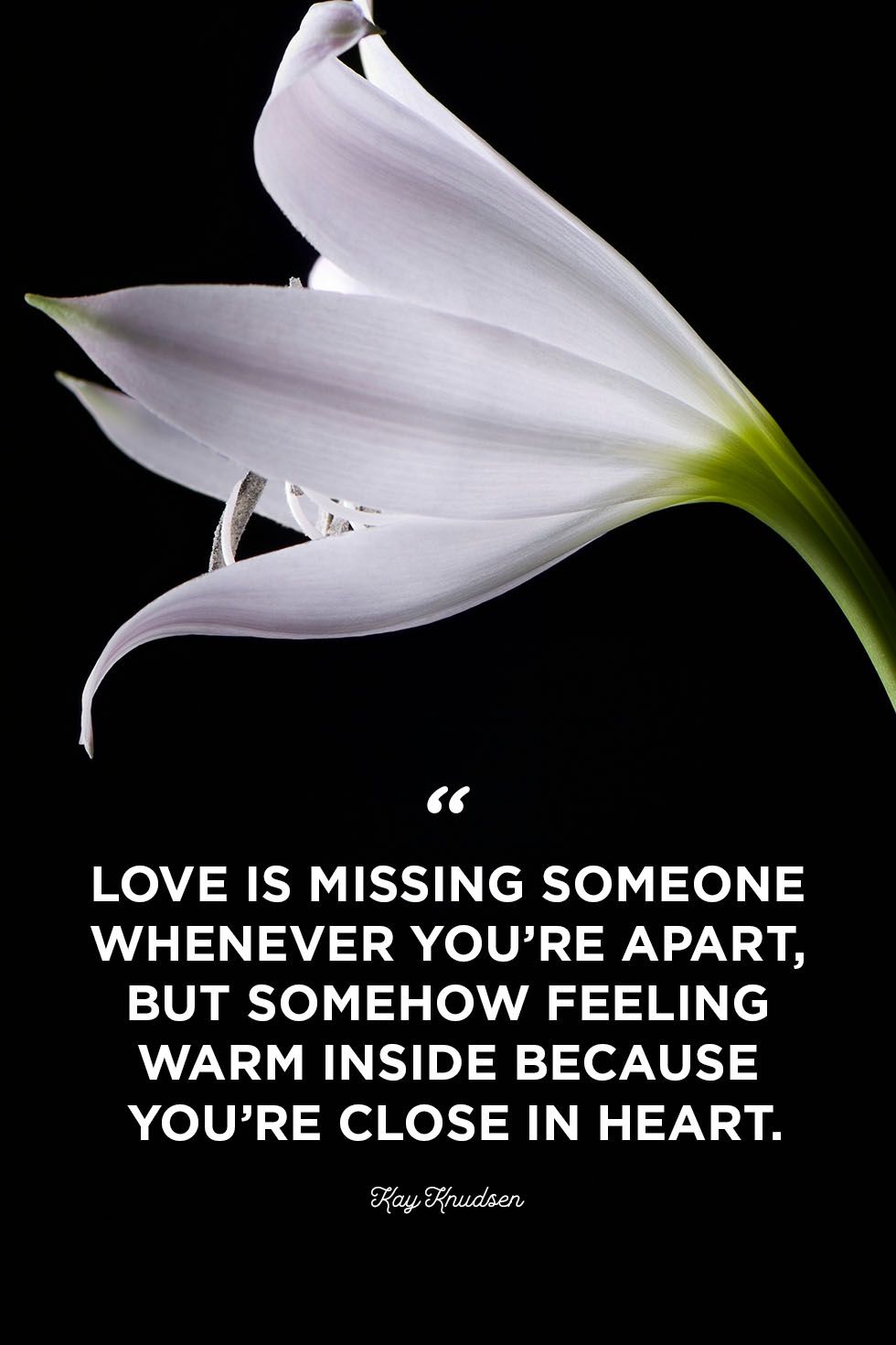 Detail Missing Someone Quotes Nomer 8