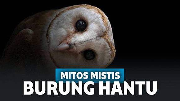 Detail Mitos Burung Hantu Nomer 17