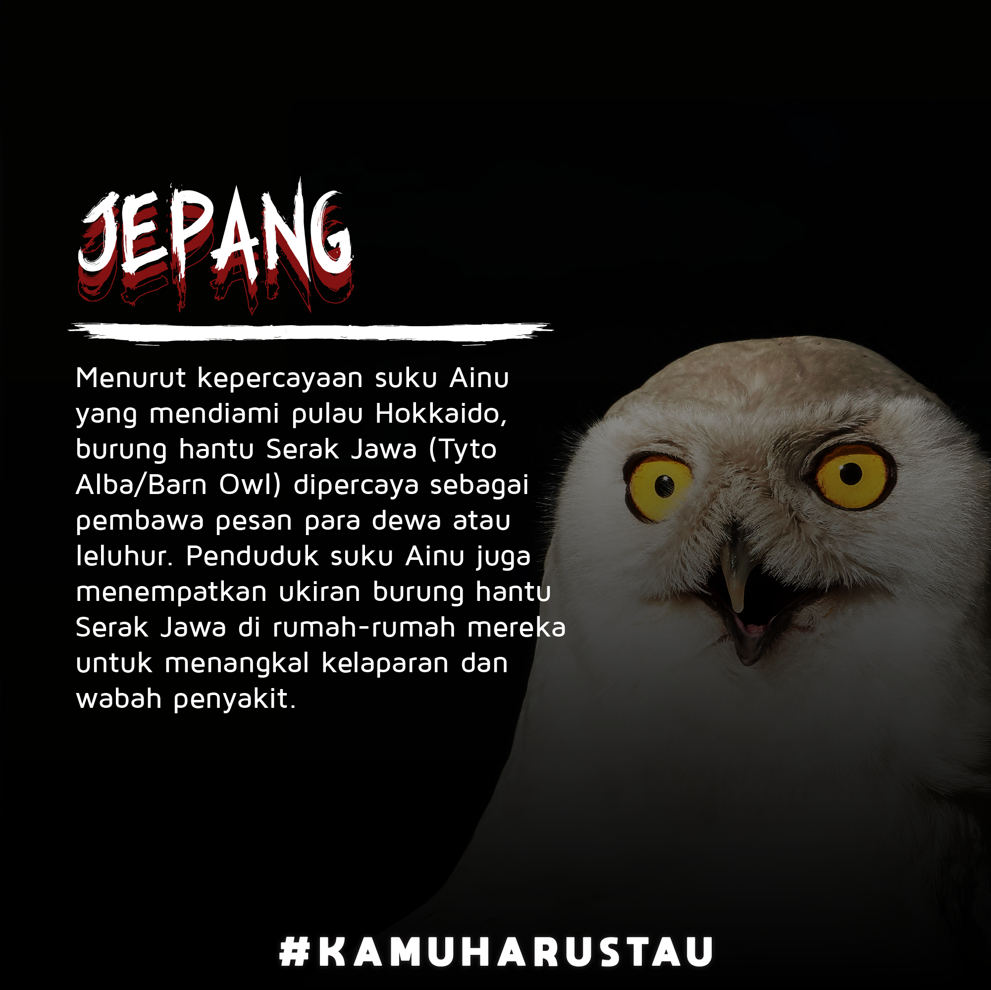 Detail Mitos Burung Hantu Nomer 4