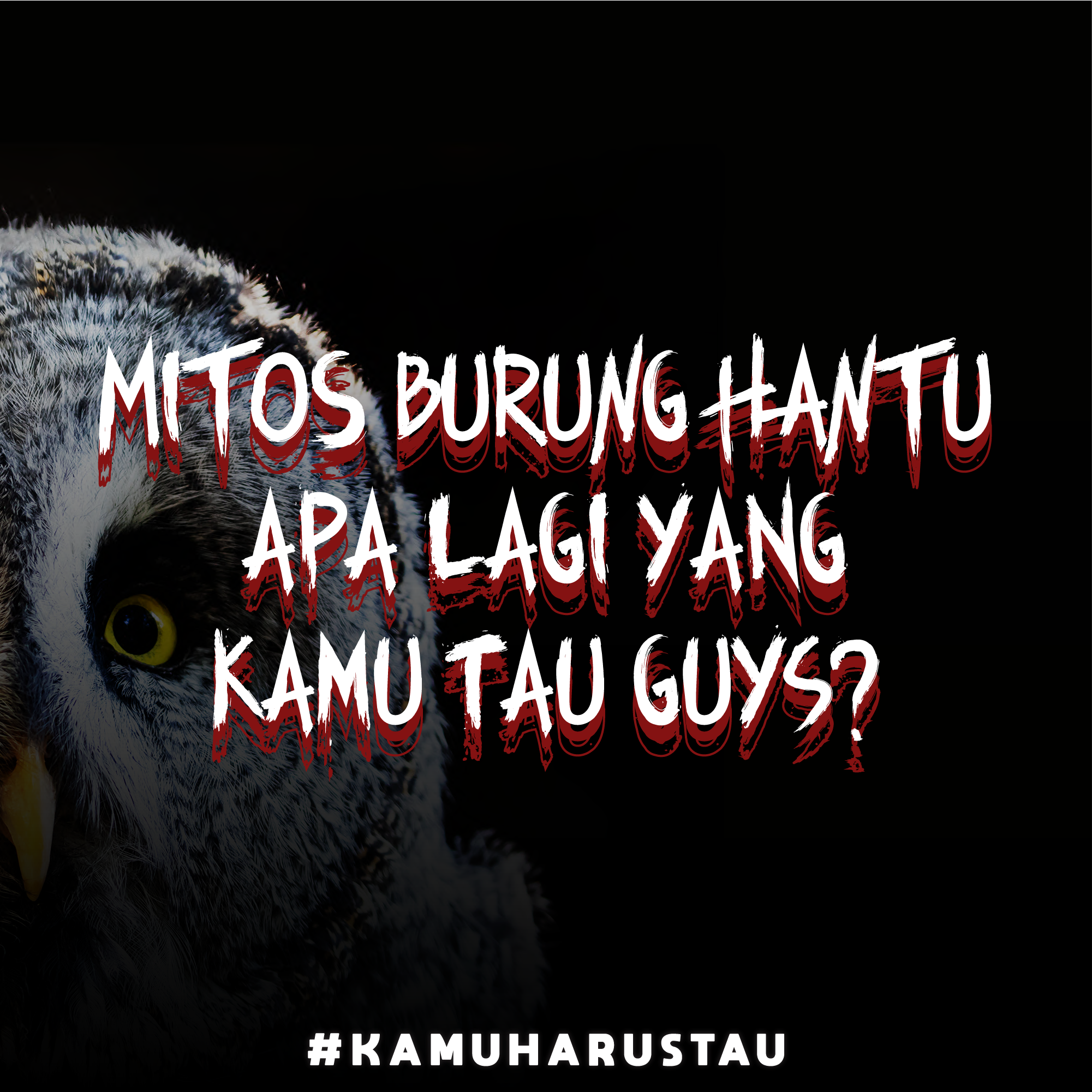 Detail Mitos Burung Hantu Nomer 33