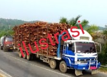Detail Mobil Aspal Jalan Raya Nomer 48