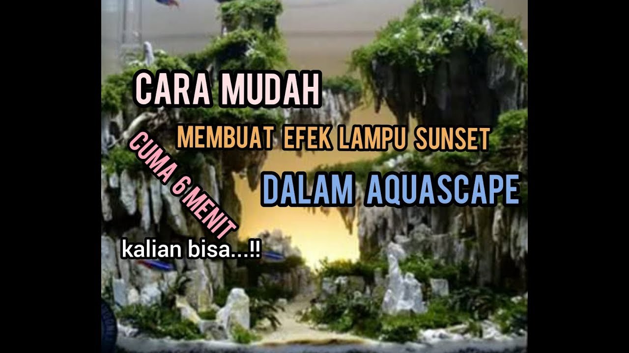 Detail Lampu Sunset Aquascape Nomer 5