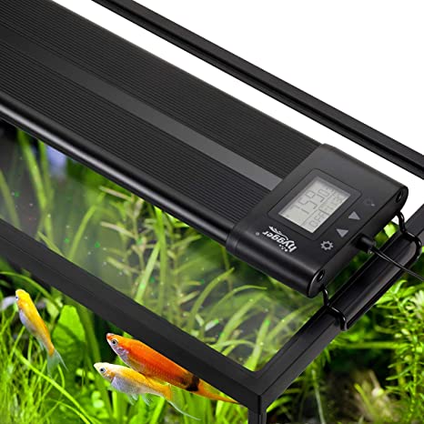 Detail Lampu Sunset Aquascape Nomer 56