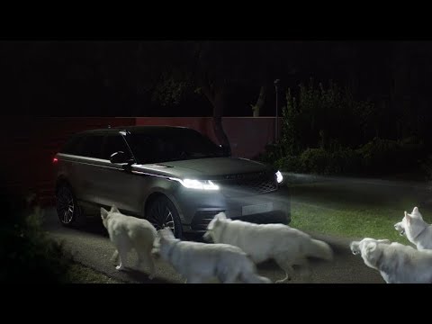 Detail Land Rover Commercial With Huskies Nomer 2