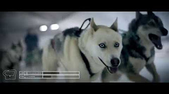 Detail Land Rover Commercial With Huskies Nomer 7