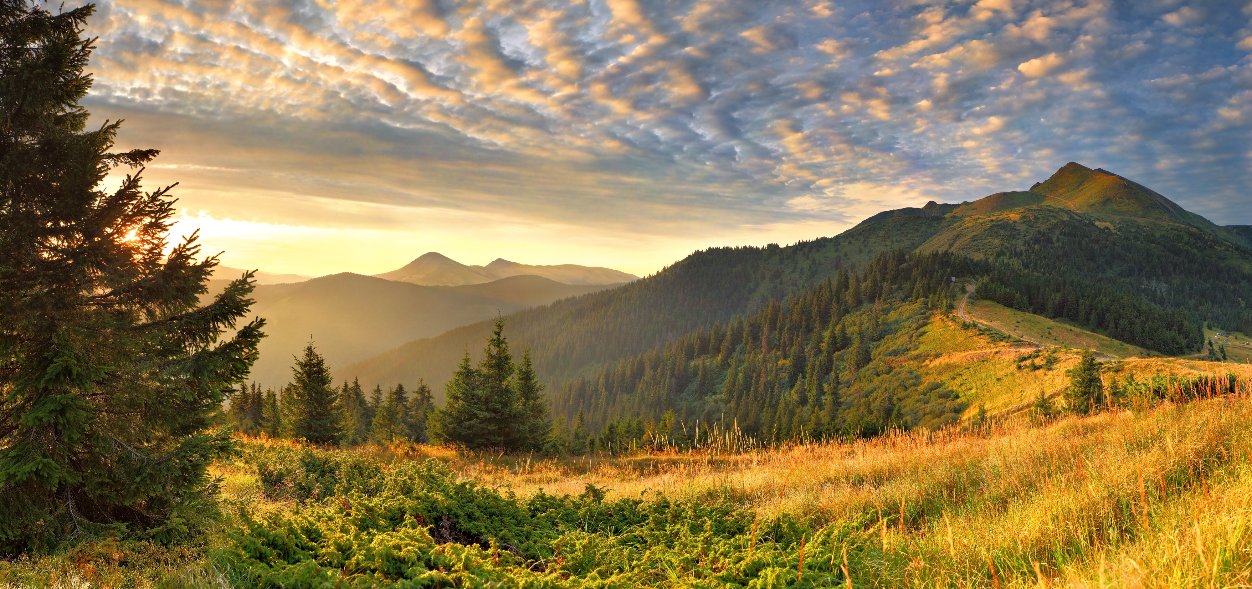 Detail Landscape Background Nomer 23