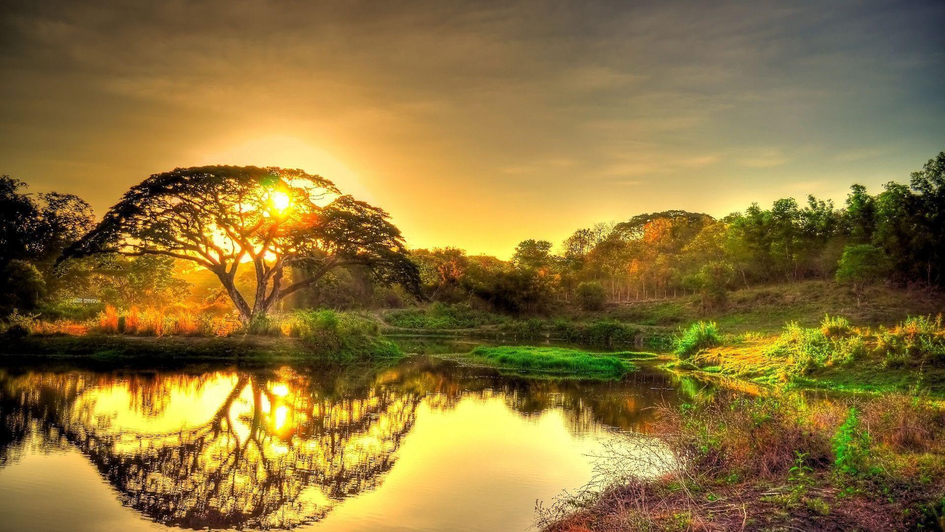 Detail Landscape Photography Wallpaper Nomer 13