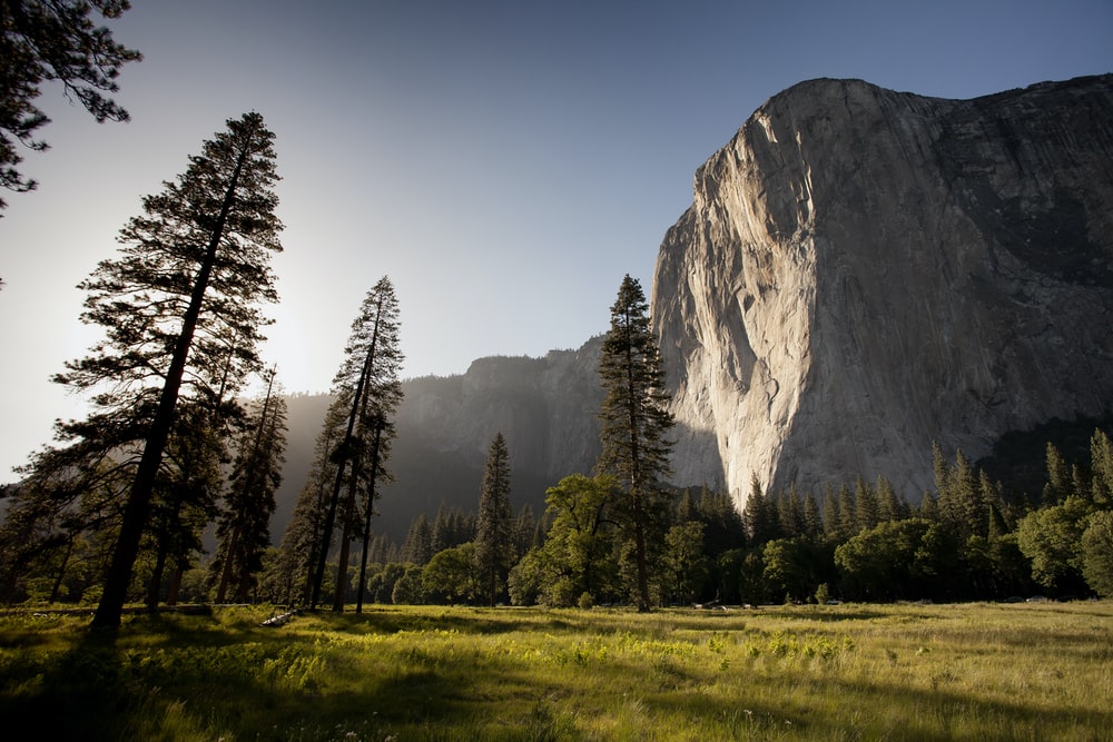 Detail Landscape Photography Wallpaper Nomer 37
