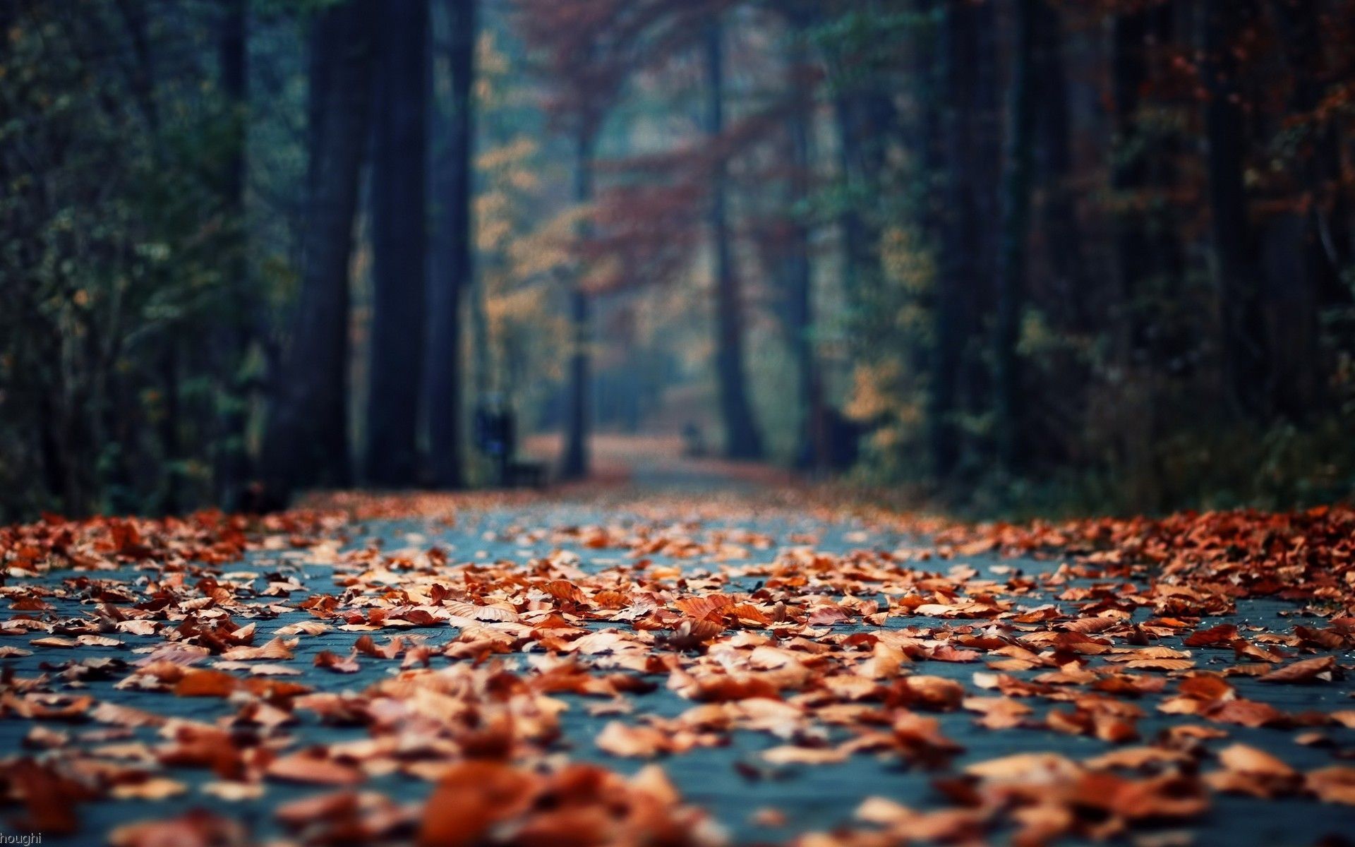 Detail Landscape Photography Wallpaper Nomer 43