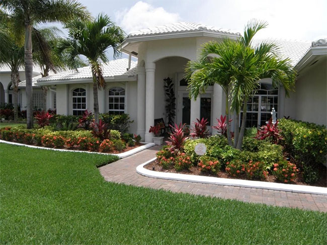 Detail Landscaping With Palm Trees Pictures Nomer 14