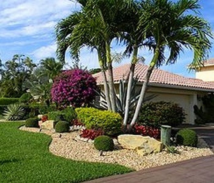 Detail Landscaping With Palm Trees Pictures Nomer 17