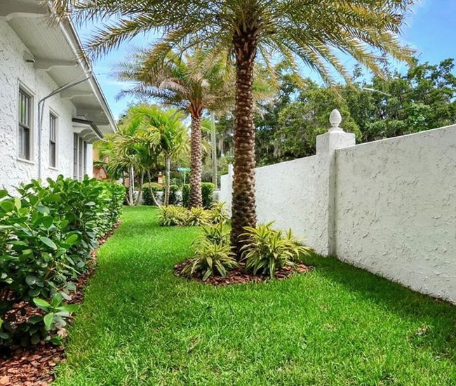 Detail Landscaping With Palm Trees Pictures Nomer 24
