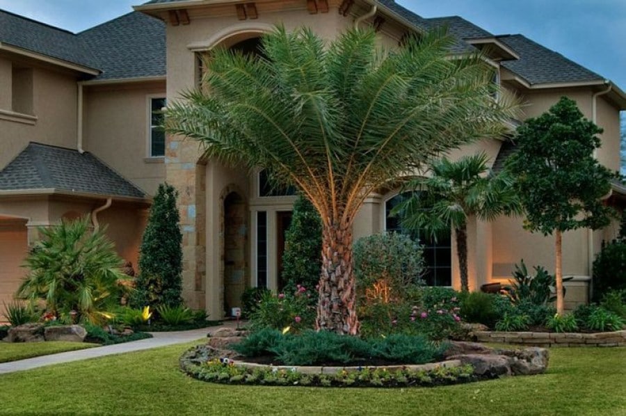 Detail Landscaping With Palm Trees Pictures Nomer 5