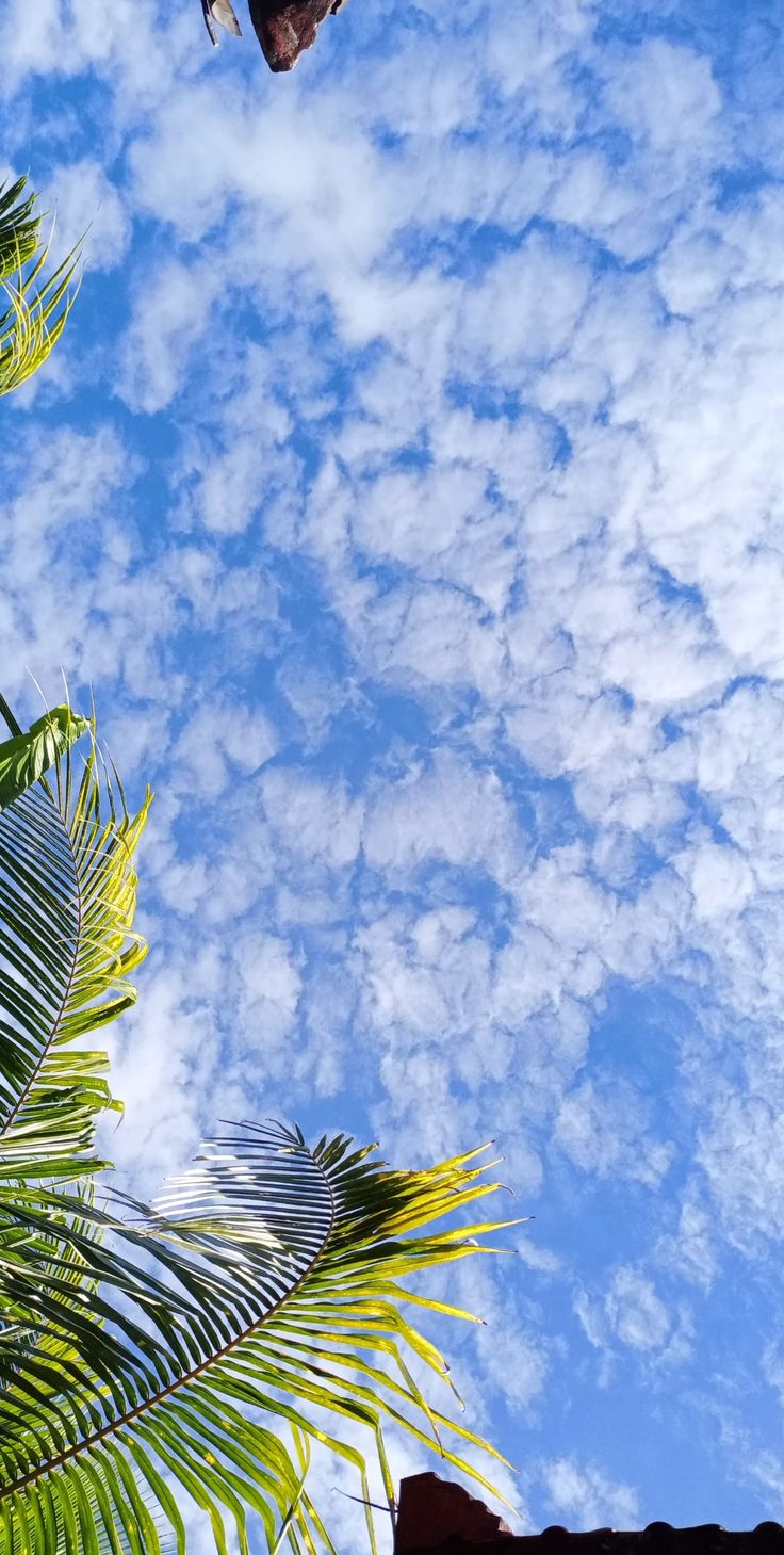 Detail Langit Background Nomer 17