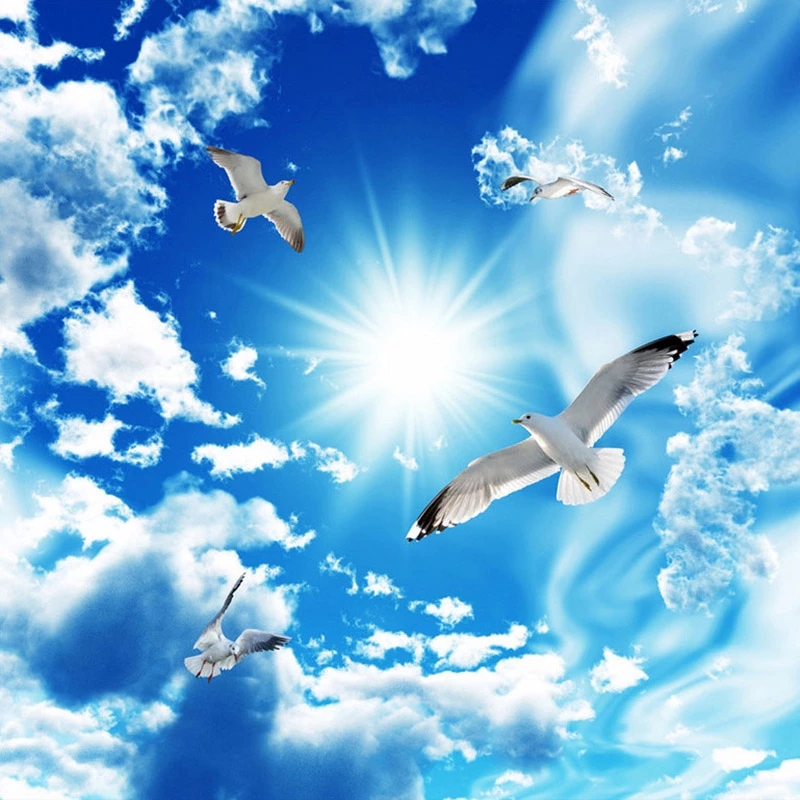 Detail Langit Biru Wallpaper Nomer 25