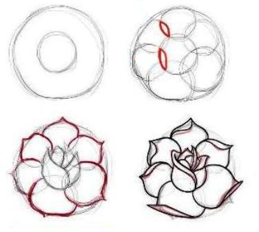 Detail Langkah Langkah Gambar Bunga Mawar Nomer 28