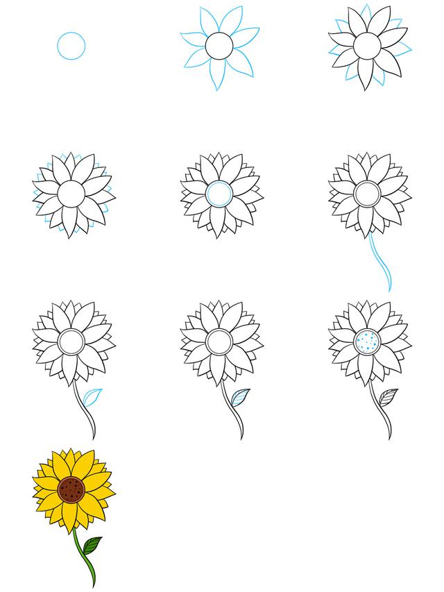 Detail Langkah Langkah Membuat Gambar Bunga Matahari Nomer 8