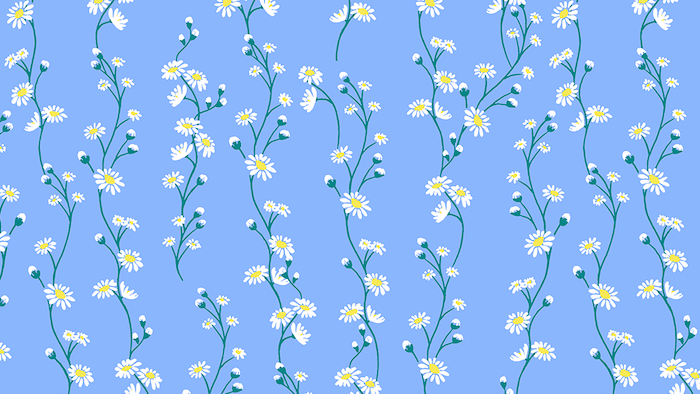 Detail Laptop Backgrounds Nomer 35