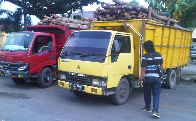 Detail Mobil Truk Bawa Kayu Nomer 14