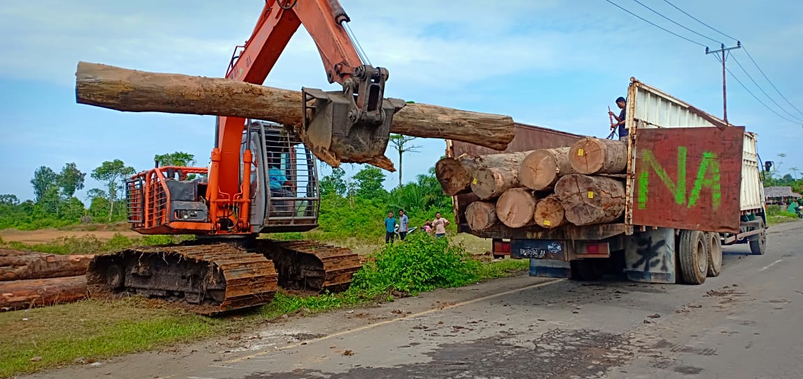 Detail Mobil Truk Bawa Kayu Nomer 33