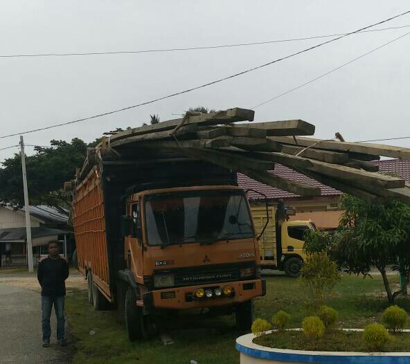 Detail Mobil Truk Bawa Kayu Nomer 39