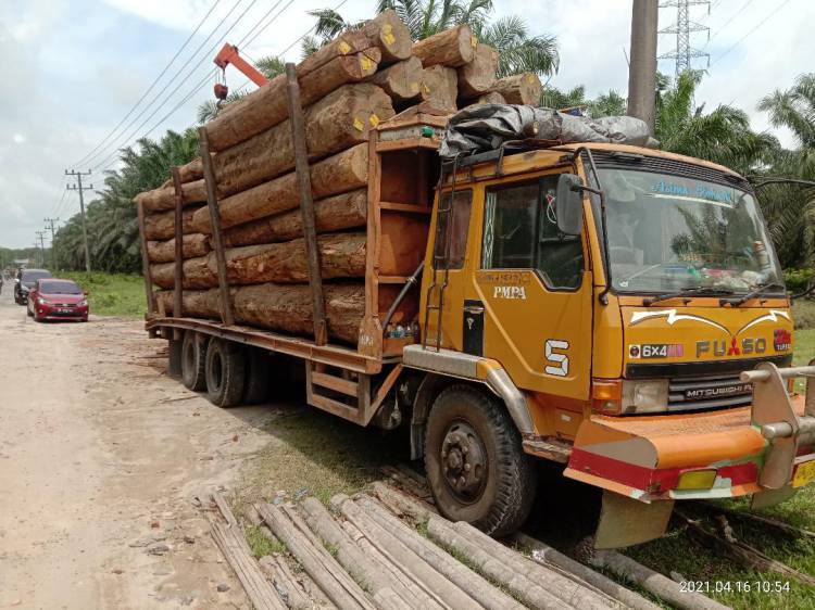 Detail Mobil Truk Bawa Kayu Nomer 9