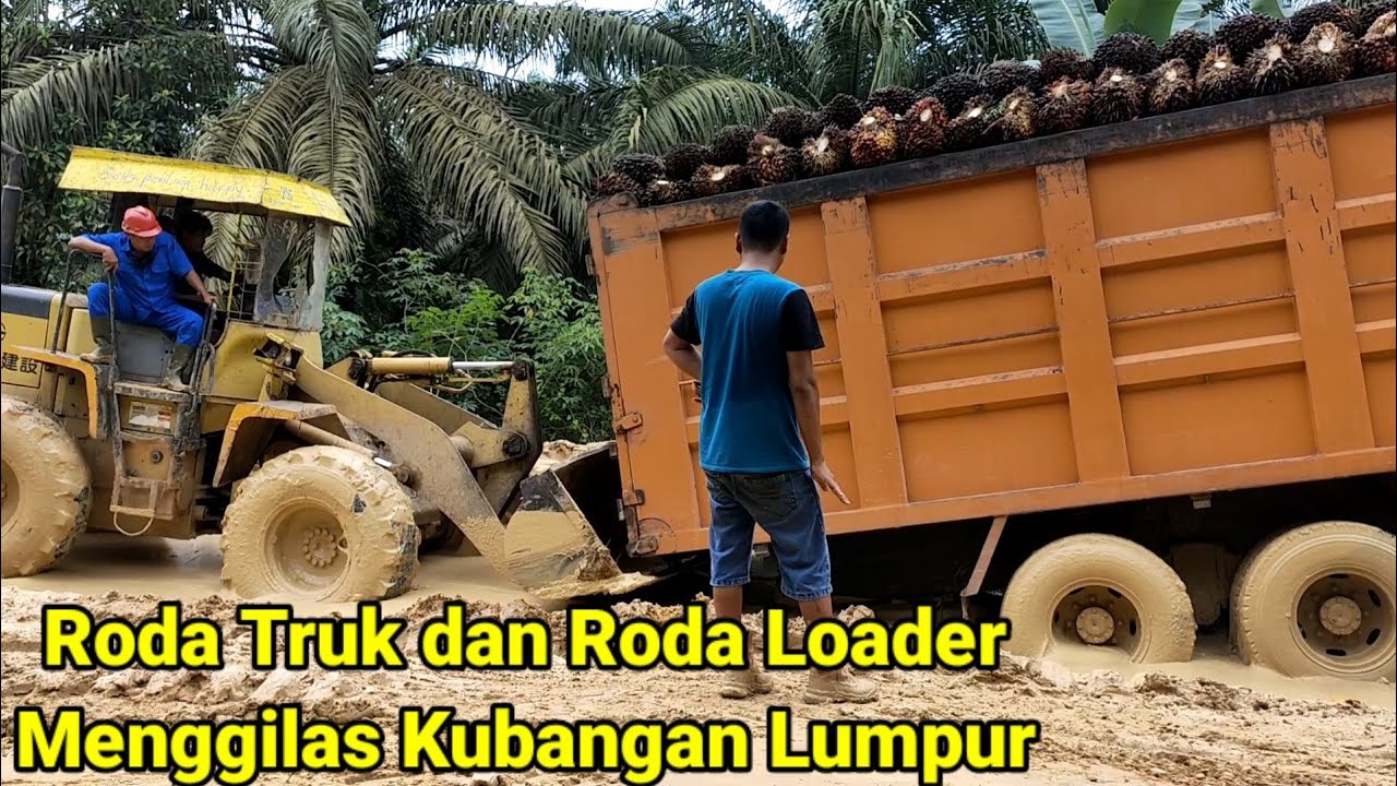 Detail Mobil Truk Kepater Nomer 31