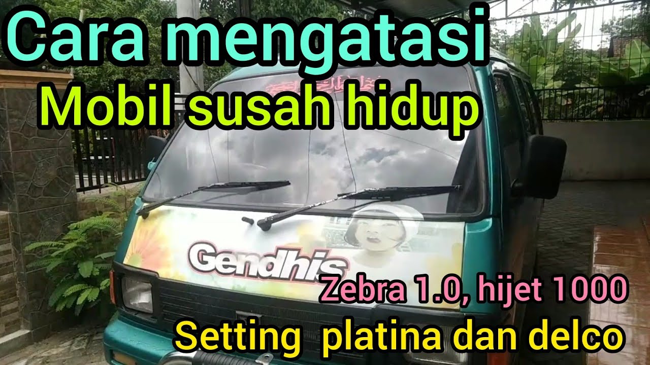 Detail Mobil Zebra Susah Hidup Nomer 8