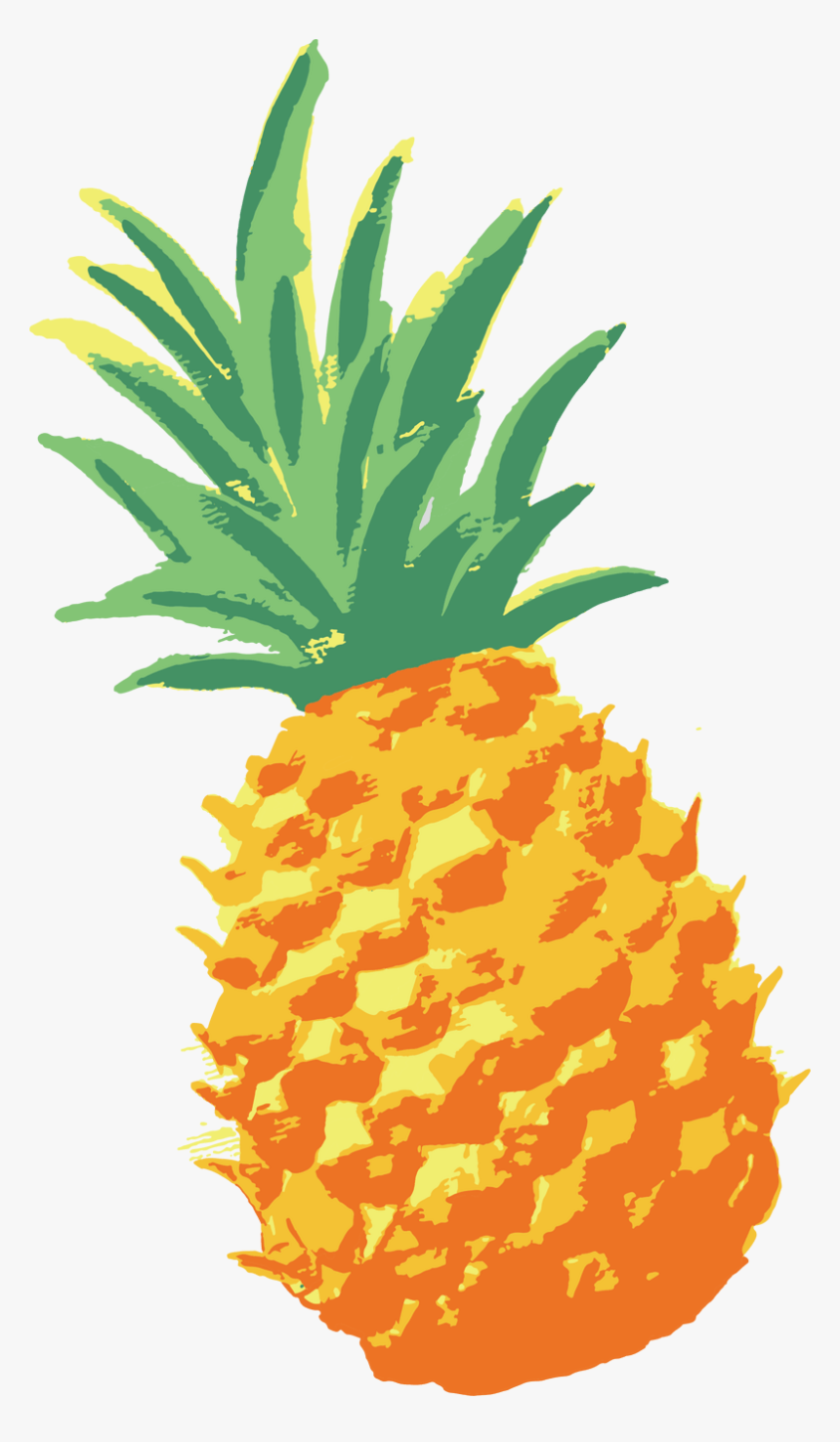 Detail Absolut Elyx Pineapple Nomer 11