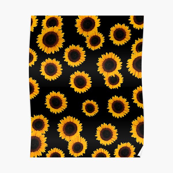 Detail Bleistiftzeichnung Sonnenblume Nomer 20