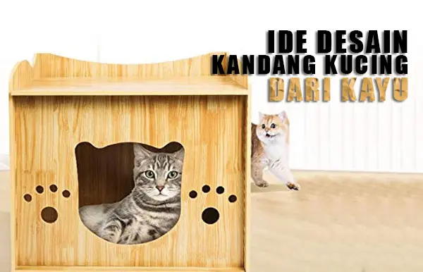 Detail Desain Rumah Kucing Nomer 40