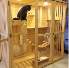 Detail Desain Rumah Kucing Dalam Rumah Nomer 16