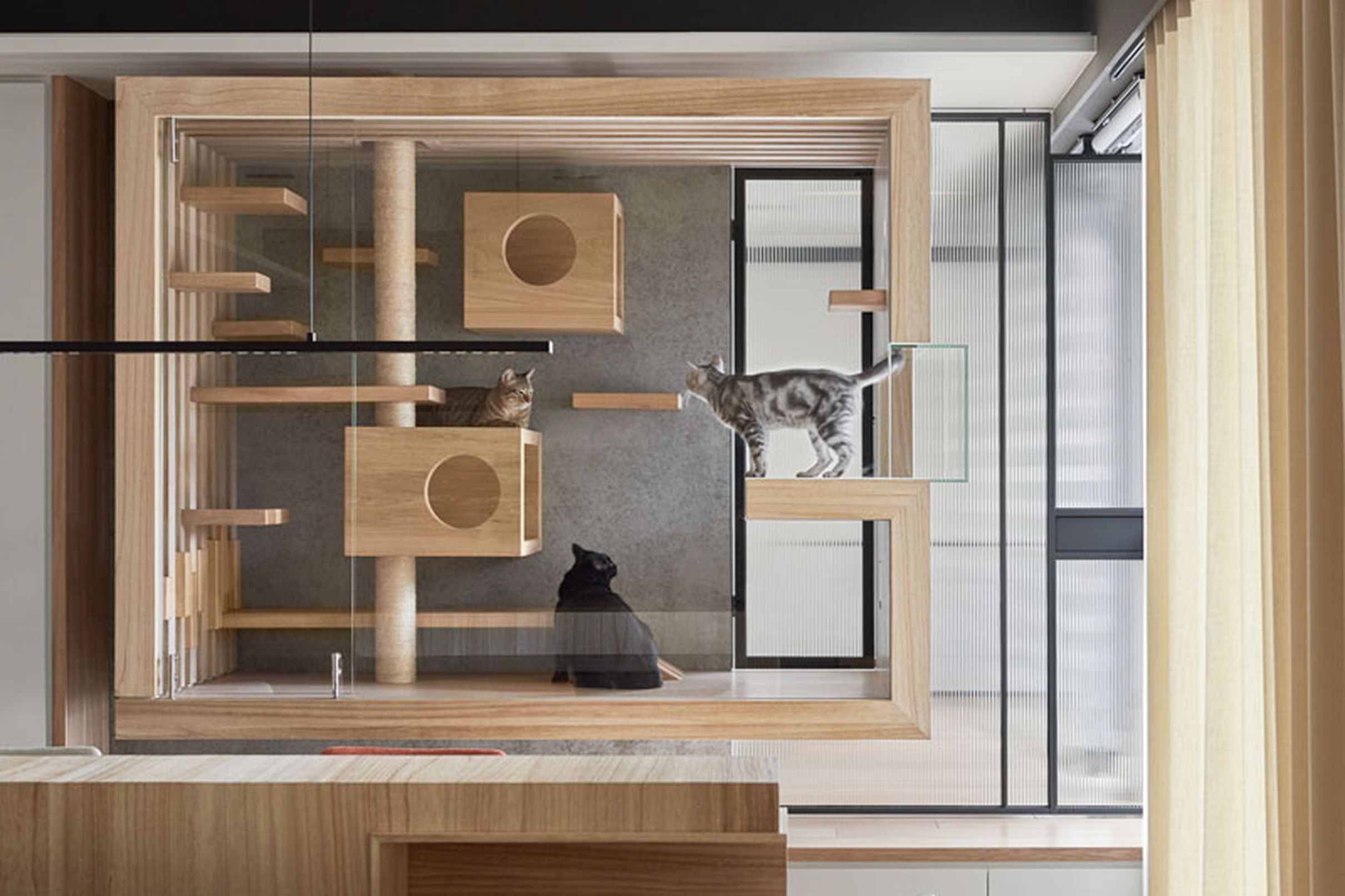 Detail Desain Rumah Kucing Dalam Rumah Nomer 21